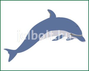 Delfin matrica + címke csomag 1. típus