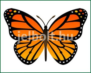 Pillangó (lepke) matrica + címke csomag 9. típus
