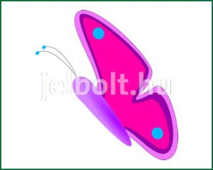 Pillangó (lepke) matrica + címke csomag 5. típus