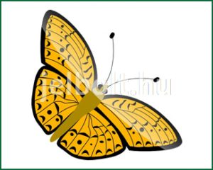 Pillangó (lepke) matrica + címke csomag 6. típus