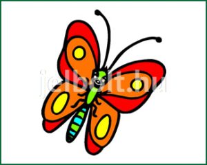 Pillangó (lepke) matrica + címke csomag 8. típus