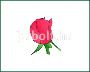 Rózsa matrica + címke csomag 2. típus