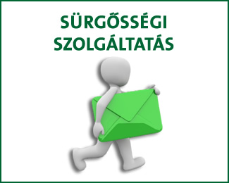 surgossegi_szolgaltatas