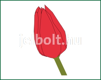 tulipan_01