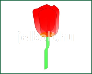 tulipan_c0439