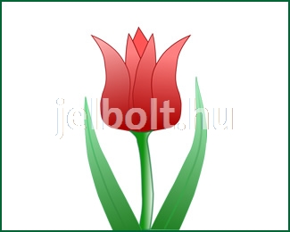 tulipan_c0442