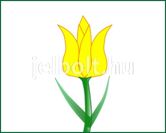 tulipan_c0443