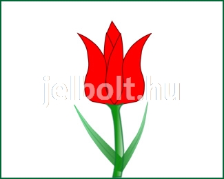 tulipan_c0444